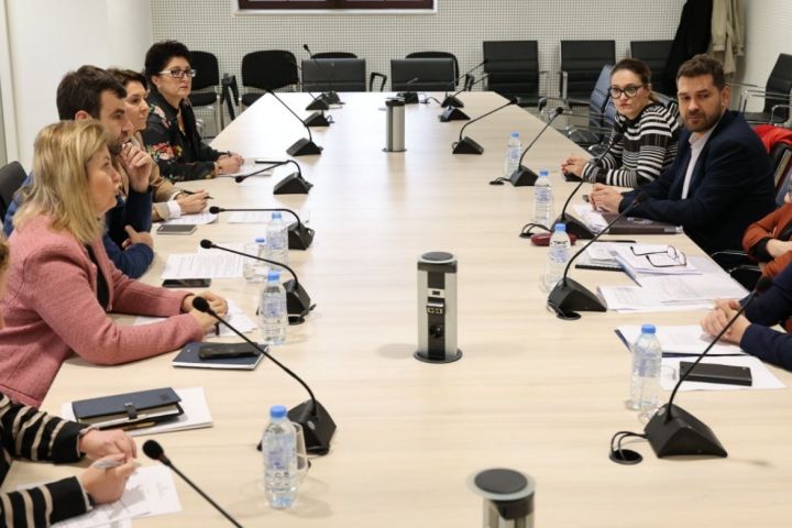 Task force – Interinstitutional Working Group for Efficient Realization of Energy Projects 