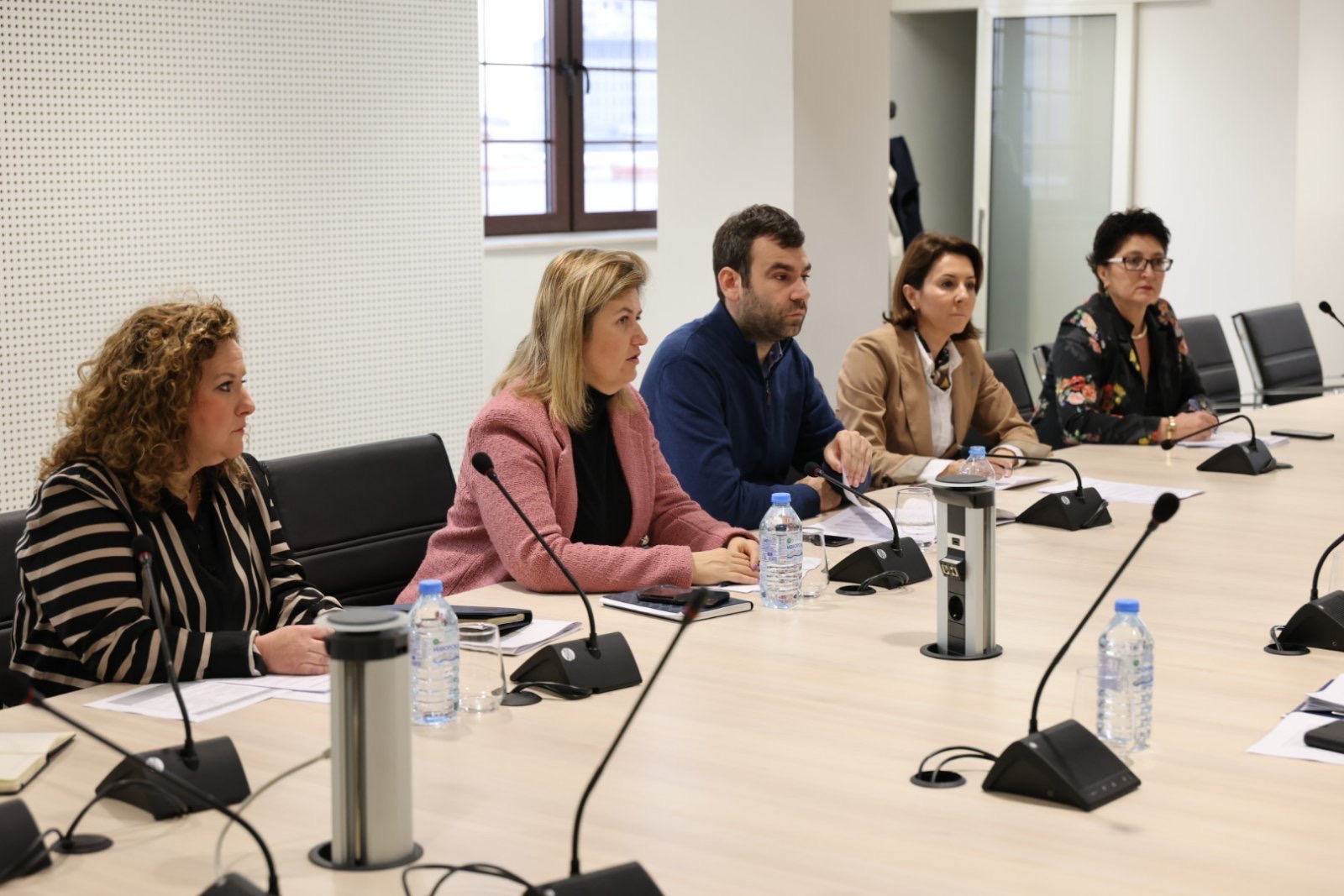 Task forse- Меѓуинституционална работна група за ефикасно реализирање на енергетските проекти