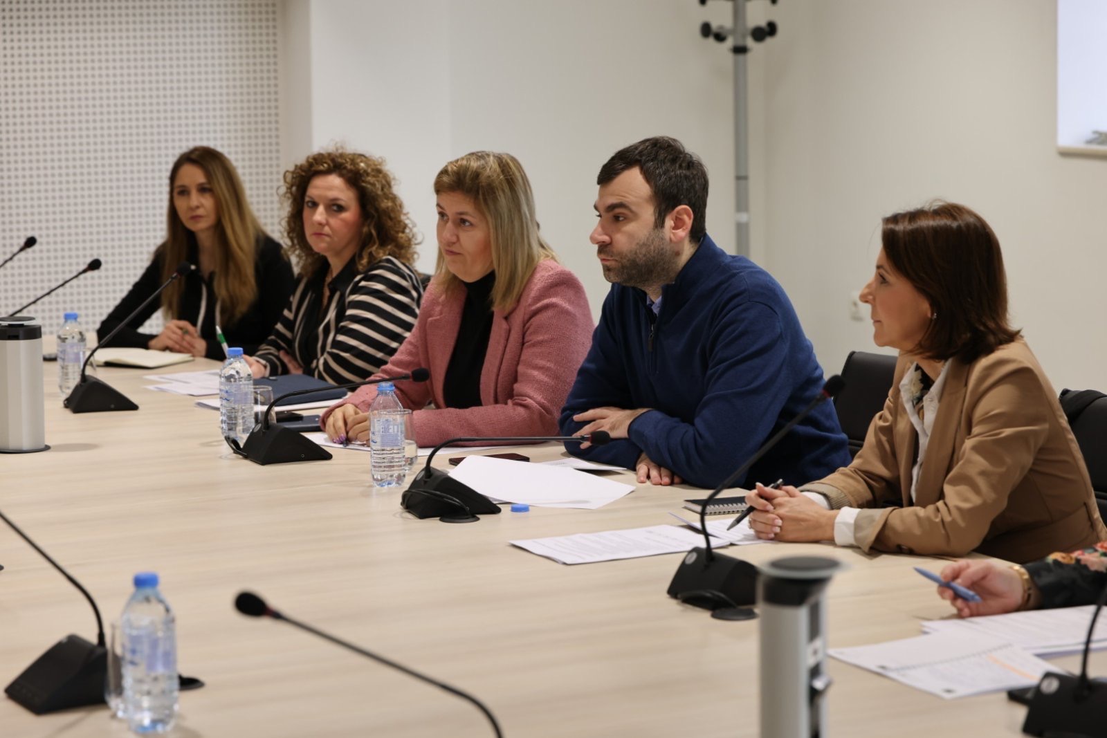 Task forse - Grupi punues ndërinstitucional për realizimin efikas të projekteve energjetike
