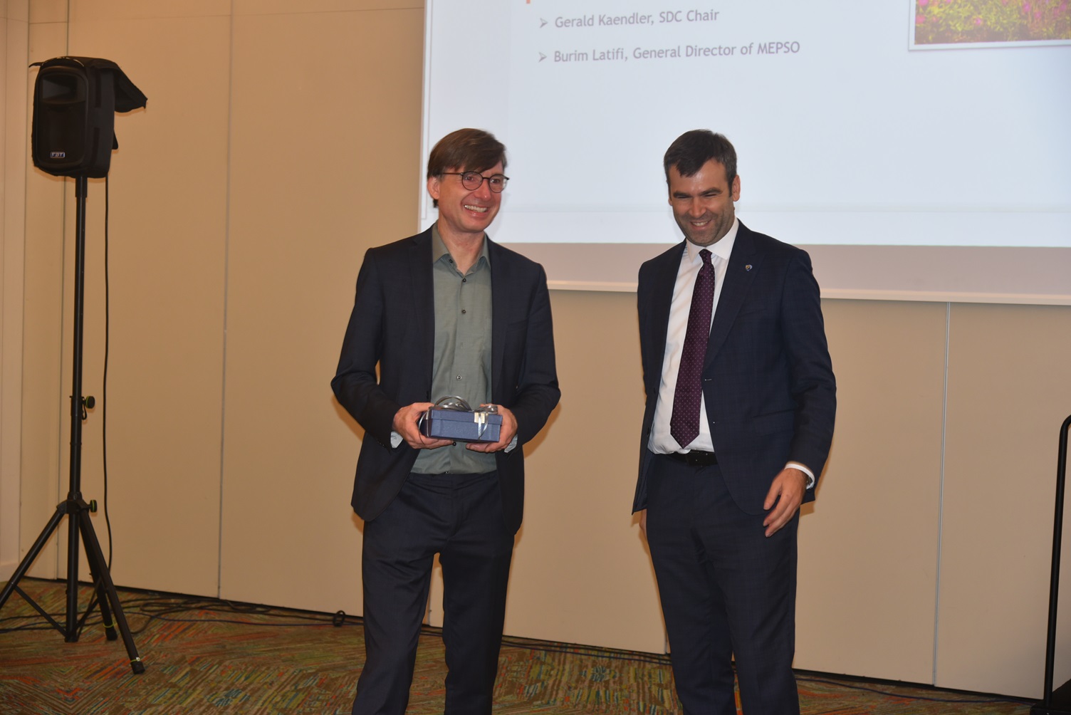 MEPSO – Host of Leading European Energy Strategists